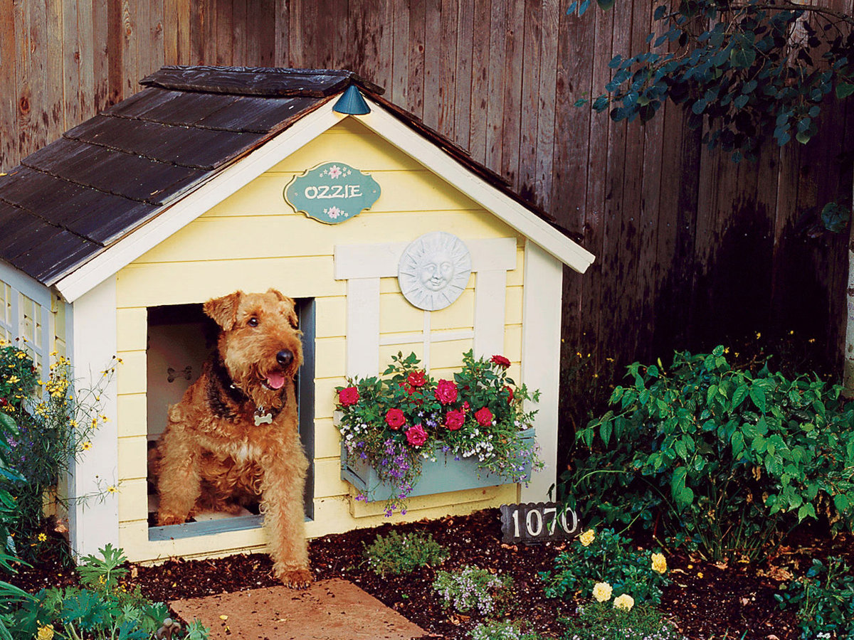 How To Landscape A Dog Friendly Garden Sunset Magazine