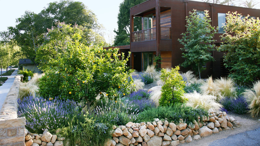 7 Smart Ideas for a Low-Water Yard - Sunset Magazine - Sunset Magazine