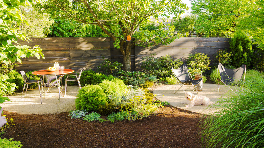 How to Create a Dog-Friendly Garden - Sunset Magazine - Sunset Magazine